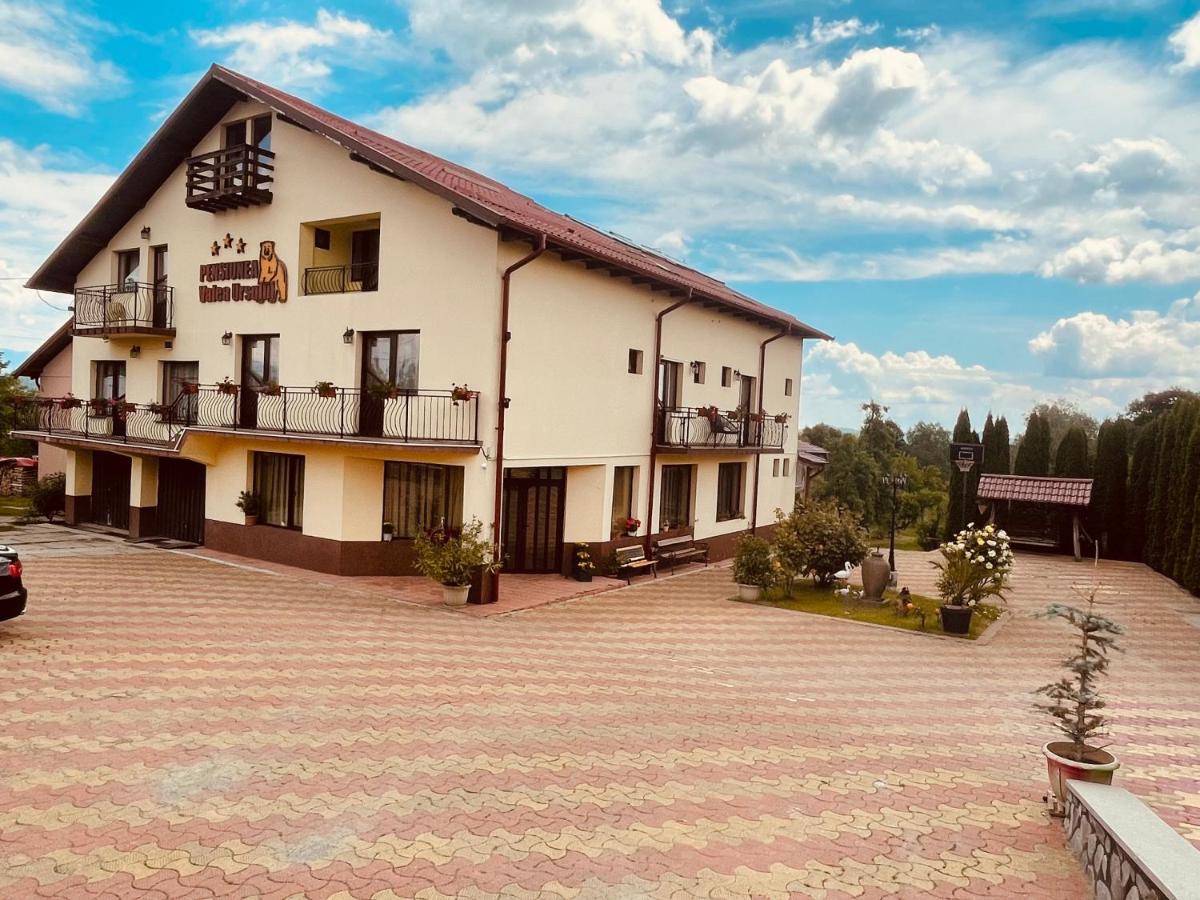 Pensiunea Valea Ursului Câmpulung Exterior photo