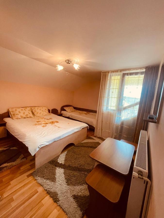 Pensiunea Valea Ursului Câmpulung Exterior photo