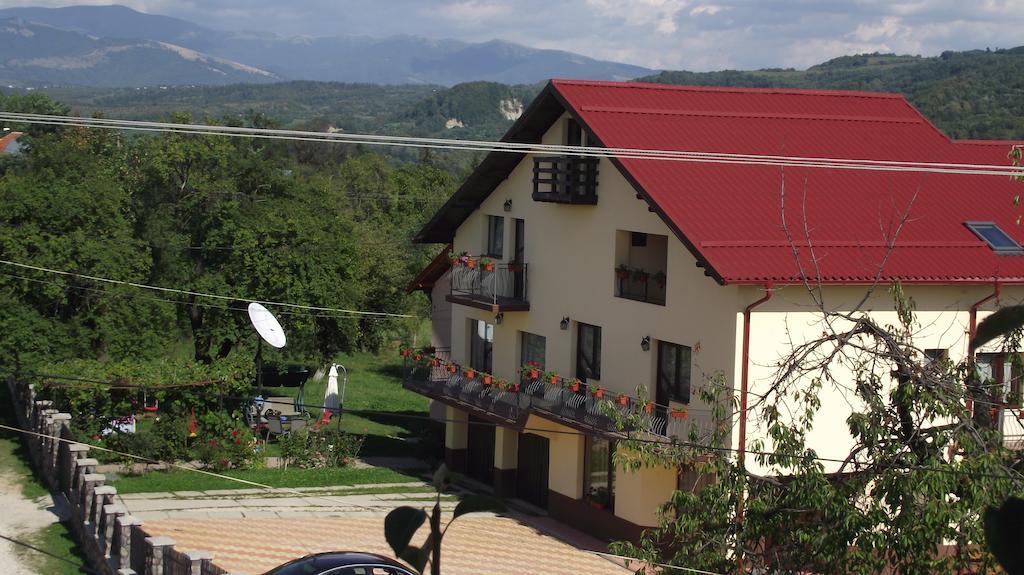 Pensiunea Valea Ursului Câmpulung Exterior photo